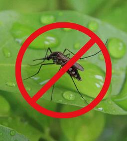 Raktáron a Kill Pest