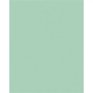 Dekorkarton, 2 oldalas, 50x70cm, 220 g, 10 lap, FOLIA, menta