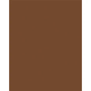 Dekorkarton, 2 oldalas, 50x70cm, 220 g, 10 lap, FOLIA, csokoládé barna