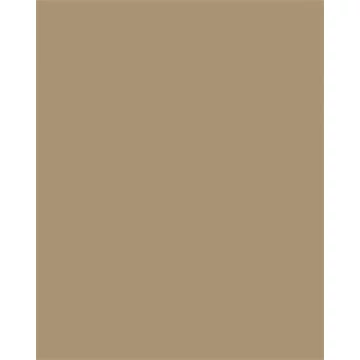 Színes papír, A3, 130 g, 50 lap, FOLIA, őzbarna
