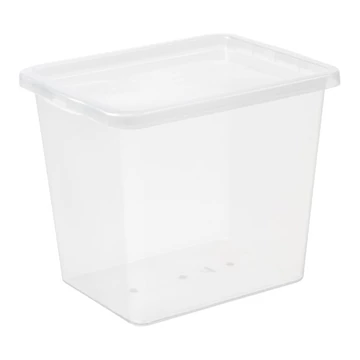 IRIS Basic Box 31 literes tárolódoboz tetővel 22970800