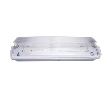 Iris Lighting I820EMEX3H3W IP65 3w 3h oldalfali biztonsági és irányfény, vészvilágító  lámpatest