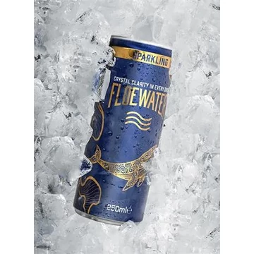 Ásványvíz, szénsavas, 250 ml, FLOEWATER