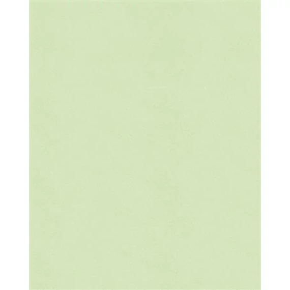 Moosgumi, 20x29 cm, 10 lap, FOLIA 