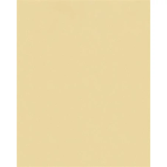 Moosgumi, 20x29 cm, 10 lap, FOLIA 