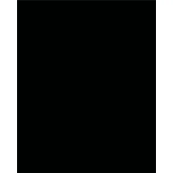 Dekorkarton, 2 oldalas, 50x70cm, 220 g, 10 lap, FOLIA, fekete