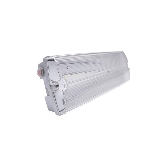 Iris Lighting I820EMEX3H3W IP65 3w 3h oldalfali biztonsági és irányfény, vészvilágító  lámpatest