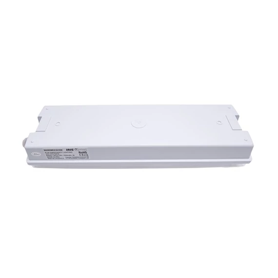 Iris Lighting I820EMEX3H3W IP65 3w 3h oldalfali biztonsági és irányfény, vészvilágító  lámpatest