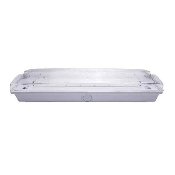 Iris Lighting I820EMEX3H3W IP65 3w 3h oldalfali biztonsági és irányfény, vészvilágító  lámpatest
