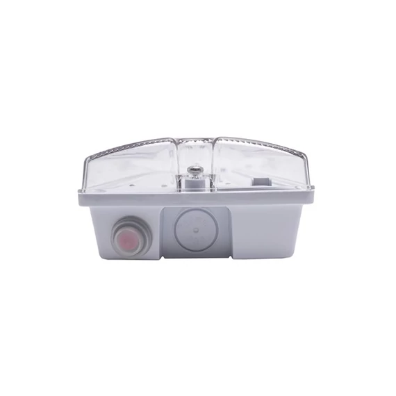 Iris Lighting I820EMEX3H3W IP65 3w 3h oldalfali biztonsági és irányfény, vészvilágító  lámpatest