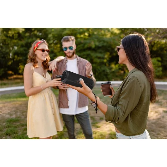 Hangszóró, hordozható, 16W, Bluetooth 5.0, KODAK PWS-2252