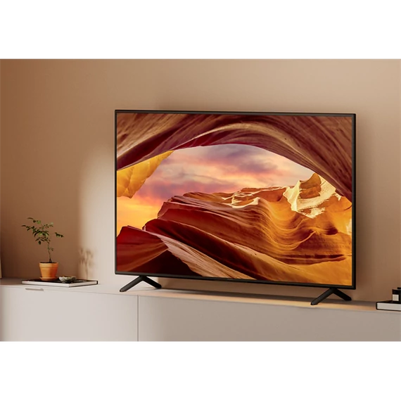 Sony 65