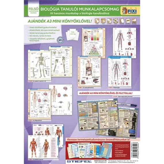 Tanulói munkalap csomag, 5 munkalap, 1 alátét, filc, STIEFEL 