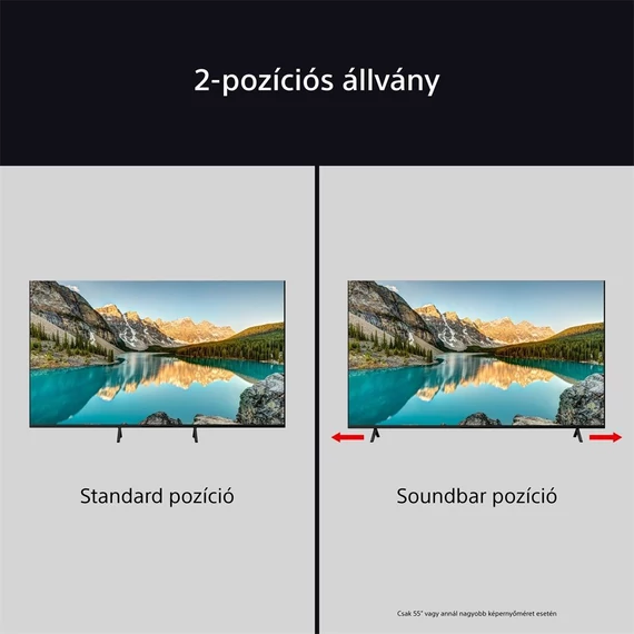 Sony 85
