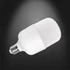 LED CAP T80 E27 20W 6500K fényforrás