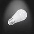 LED CAP GLOBE G45 E27 5,5W 6500K körte fényforrás