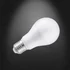 LED CAP GLOBE A60 E27  5W 6500K körte fényforrás