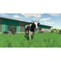 Kép 4/6 - Farming Simulator 22 PS5 játékszoftver