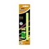 Kép 2/2 - Grafitceruza BIC Eco Evolution Black HB hatszögletű 2 db-os fluo+radír+hegyező