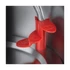 Kép 2/8 - Russell Hobbs 28081-70/RH Structure fekete vízforraló