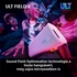 Sony ULT Field 3 szürke Bluetooth hangszoró