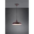 Kép 2/3 - TRIO R30421024 Wilton mennyezeti lámpa