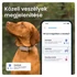 Kép 4/10 - Tractive GPS DOG 6 barna kutya GPS nyomkövető és tevékenységfigyelő