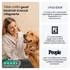 Kép 10/10 - Tractive GPS DOG 6 barna kutya GPS nyomkövető és tevékenységfigyelő