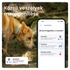 Kép 4/10 - Tractive GPS DOG 6 menta kutya GPS nyomkövető és tevékenységfigyelő