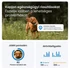 Kép 5/10 - Tractive GPS DOG 6 menta kutya GPS nyomkövető és tevékenységfigyelő