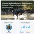Kép 5/10 - Tractive GPS DOG XL Adventure Edition kutya GPS nyomkövető és tevékenységfigyelő