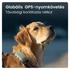 Kép 2/10 - Tractive GPS DOG XL zöld kutya GPS nyomkövető és tevékenységfigyelő