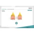 Digitus CAT6 U-UTP Patch Cable 0,25m Yellow